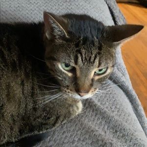 Meet your Posher, Luisa